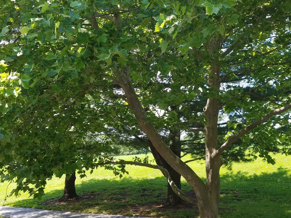 An Open Letter To My Anxiety