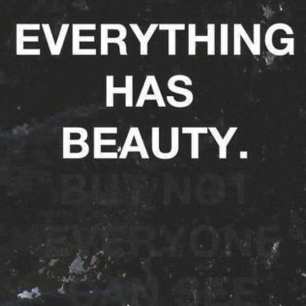 What Is Beauty?