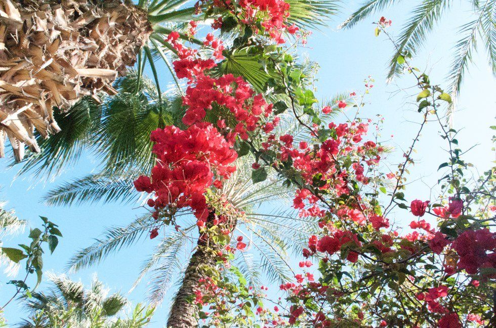 The Faithfulness Of Jesus