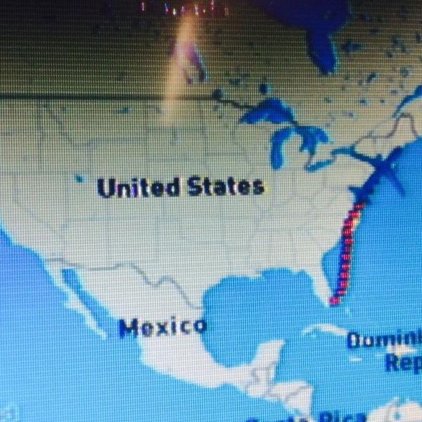 To Those Afraid of Leaving the Nest