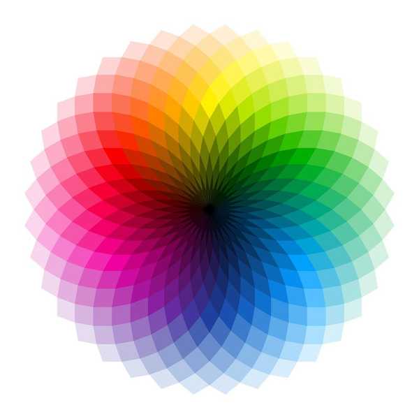 The Combination Of Color
