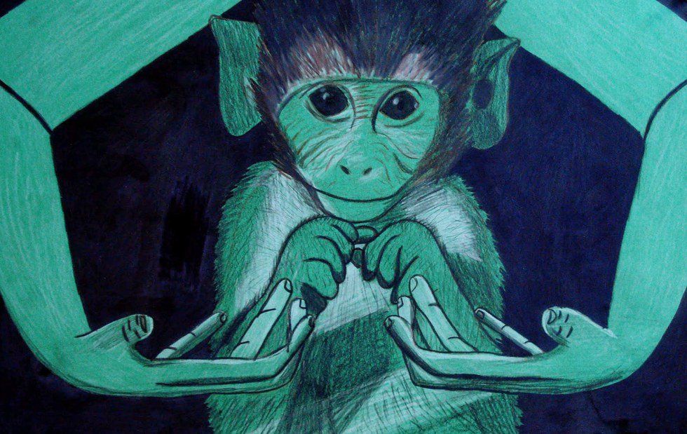 10 Reasons To Learn American Sign Language