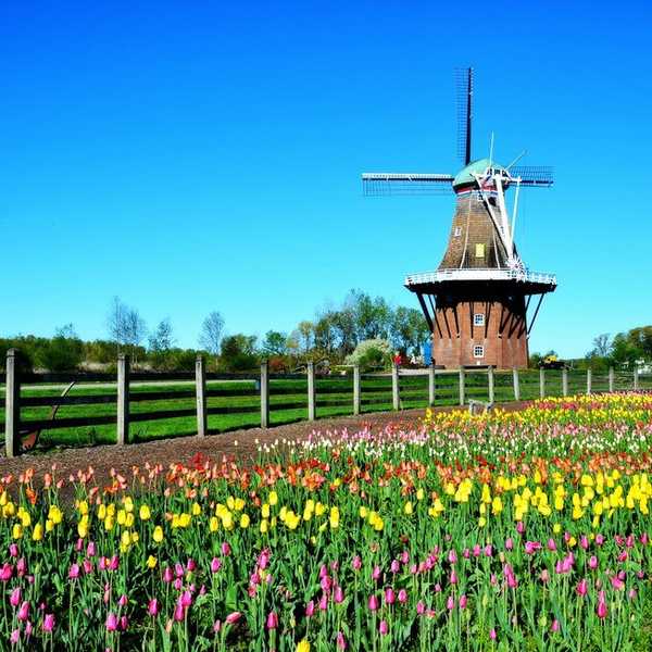 8 Activities For Your Holland, MI Bucket List