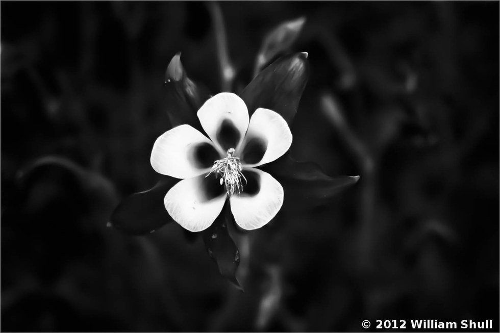 How Our Fears Affect Our Lives