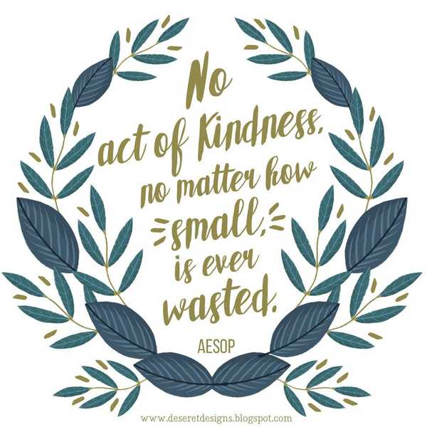 To The Person Trying To Be Kind