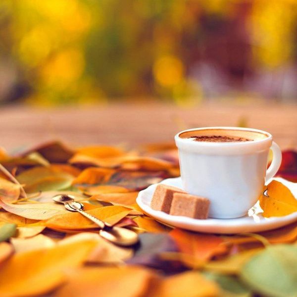 10 Favorite Things About Fall