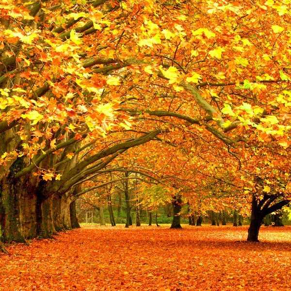 4 Reasons Fall Is The Best Time Of Year