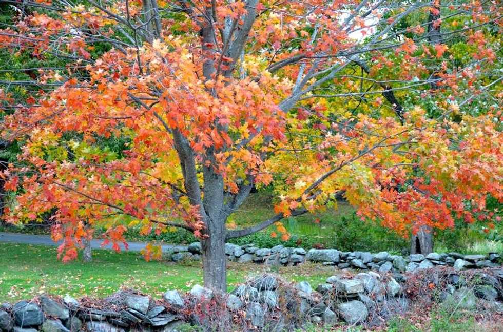 5 Reasons I Love Fall