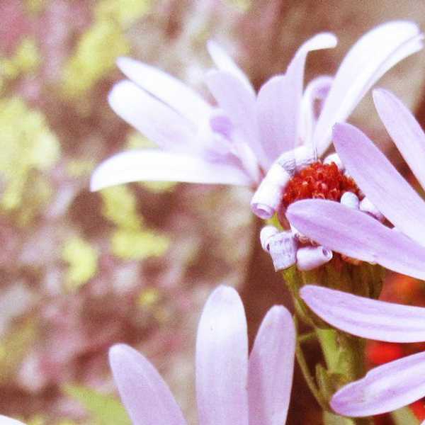 Beauty; Up For Interpretation