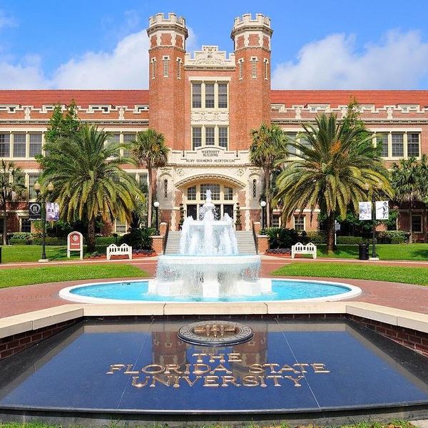 Senior Year Struggle