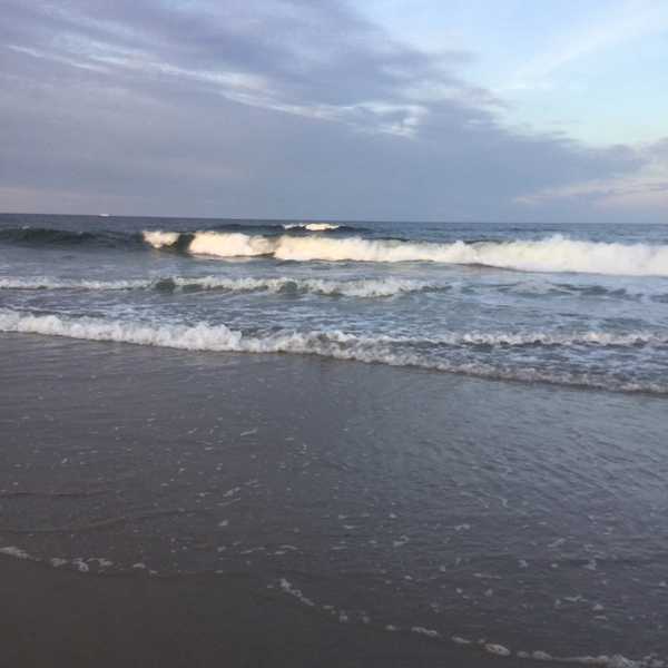 Goodbye, Summer