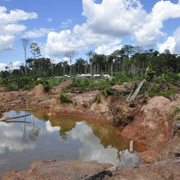 The Amazon Crisis