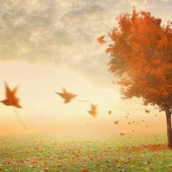 Why You Should Embrace Your Imperfections