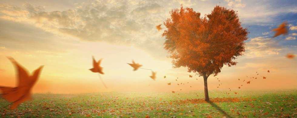 Why You Should Embrace Your Imperfections