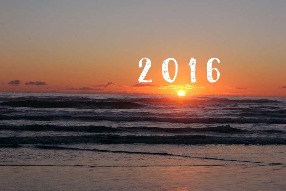 2016's Life Lessons So Far