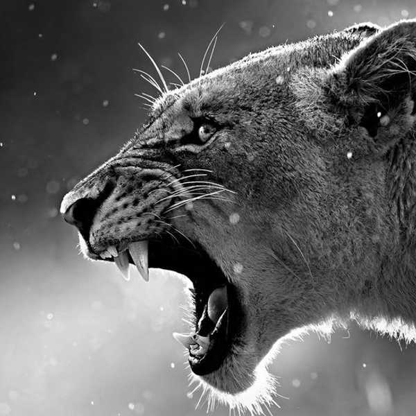 If Ambition Is Both Your Blessing and Your Curse