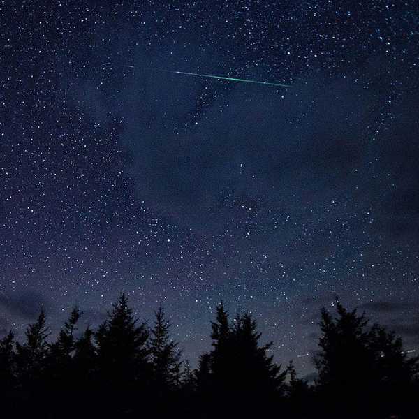 Appreciating Life's Noiseless Conversations