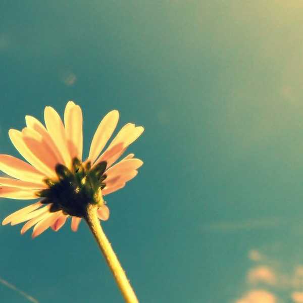 Close Your Eyes On Old Ends; Trust In The Magic Of New Beginnings