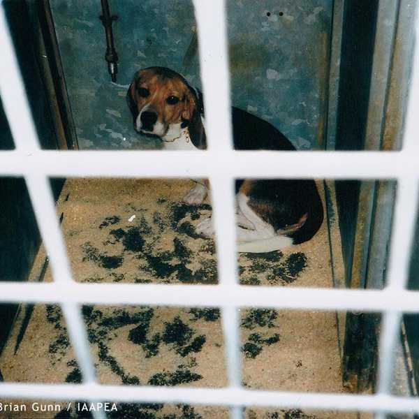 10 Amazing Cruelty-Free Makeup Brands