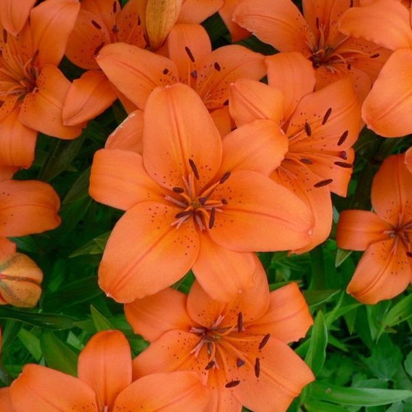 An Open Letter To My High School