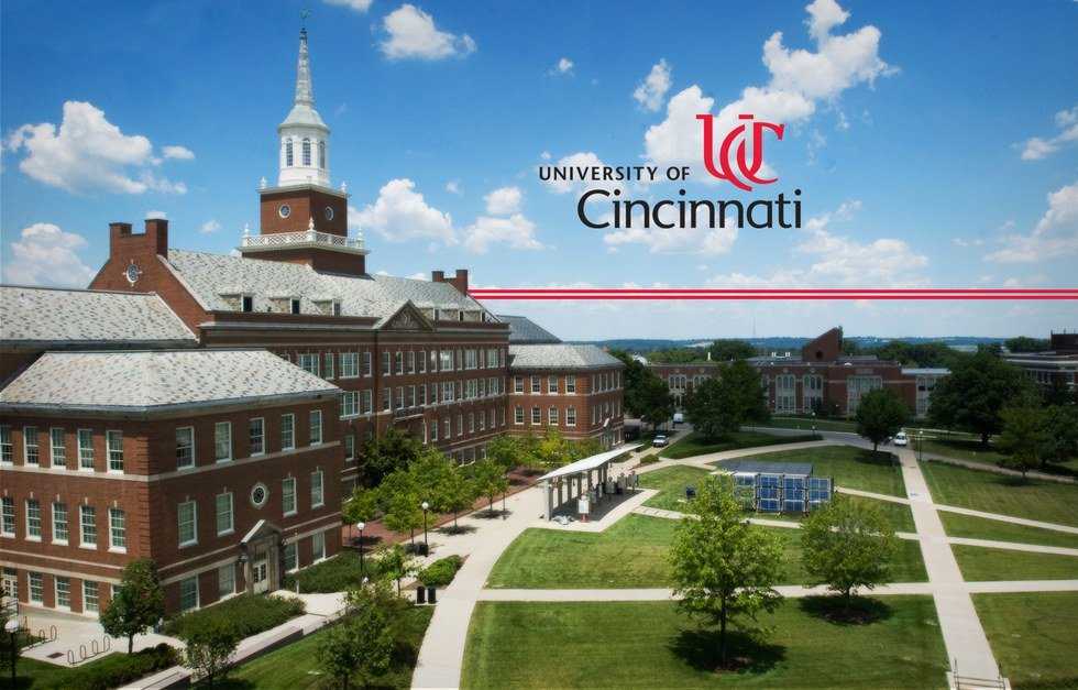 8 Ways To Get Involved At University Of Cincinnati