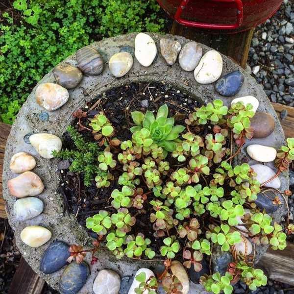 Rediscovering Myself