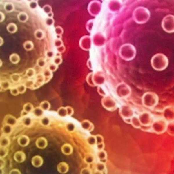 Learning About Zika: What You Didn't Know