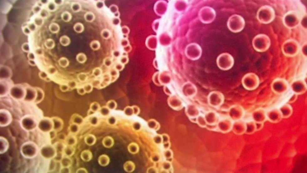 Learning About Zika: What You Didn't Know