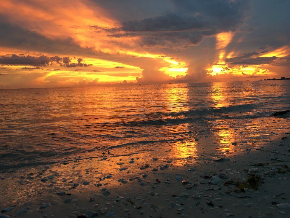 Finding Joy In The Little Things