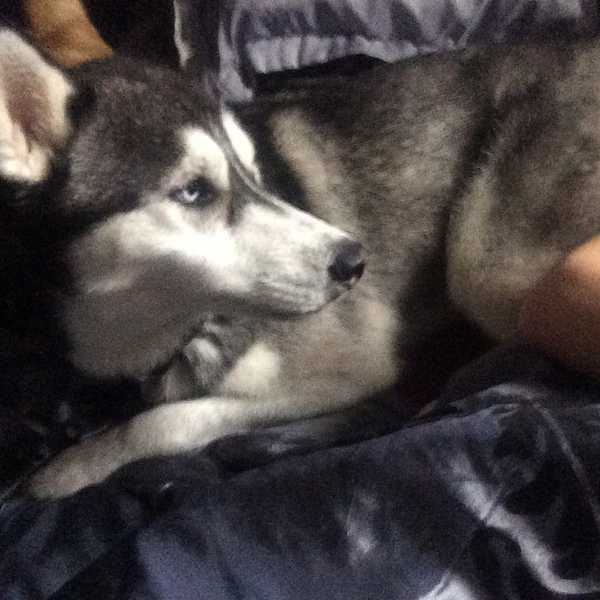 The Hardest Things To Say Goodbye To When Leaving For College