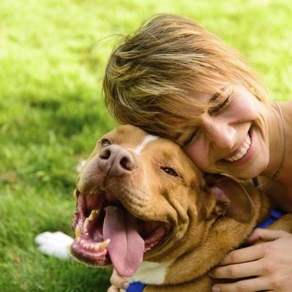 11 Reasons Why It's Great To Be A Dog Person