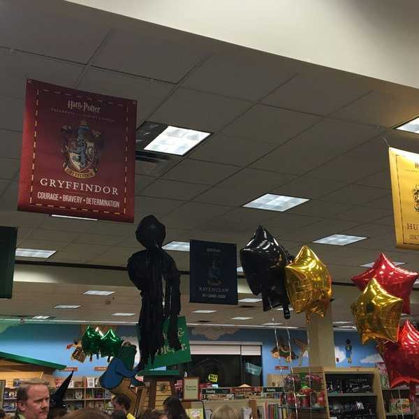 Harry Potter and The Cursed Child Midnight Book Release