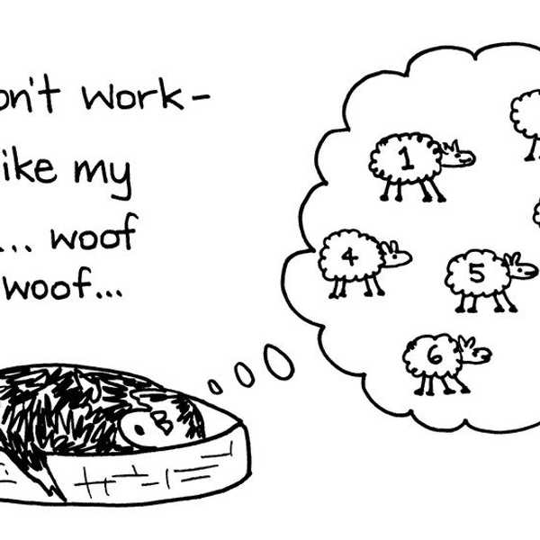 7 Tips To Reset Your Sleep Schedule This Semester