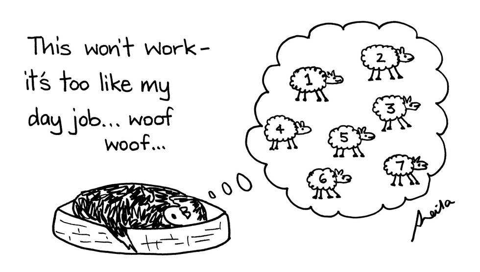 7 Tips To Reset Your Sleep Schedule This Semester