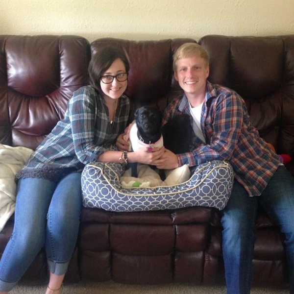 The Benefits Of Fostering A Pet