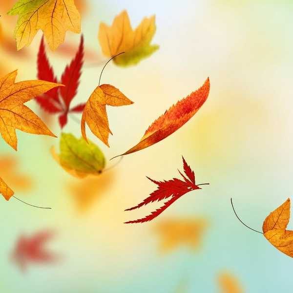 50 Items To Put On Your Fall Bucket List: Bridgewater State University Edition