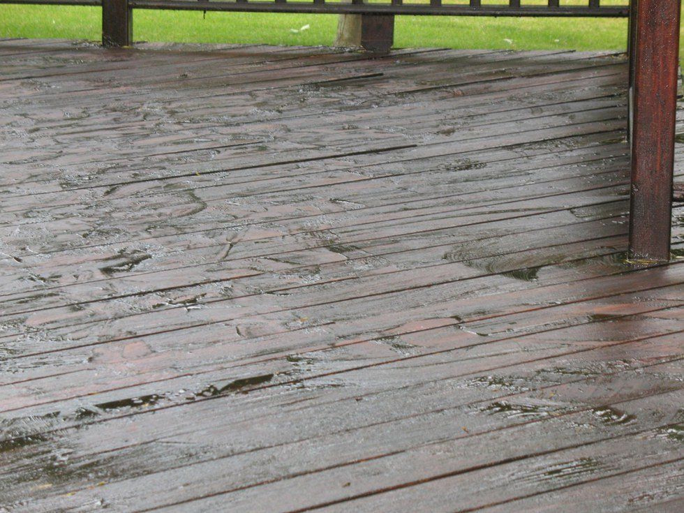 Everything Has A First Coat