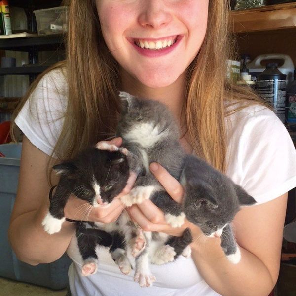 10 Signs You Are A Crazy Cat Lady