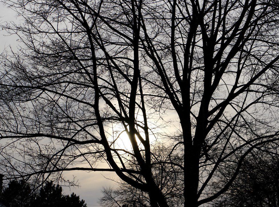 Four Quotes To Get You Through School