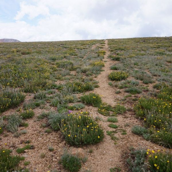 Summer Hikes I Won't Soon Forget