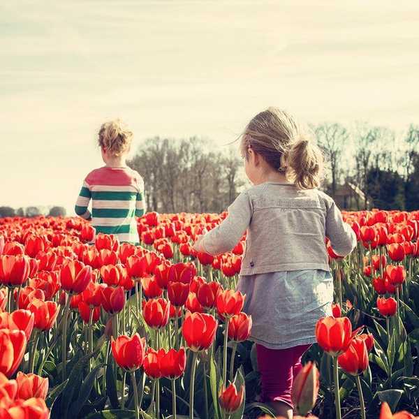 An Open Letter To My Younger Sibling Going To College