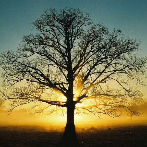 Remembering Kindness