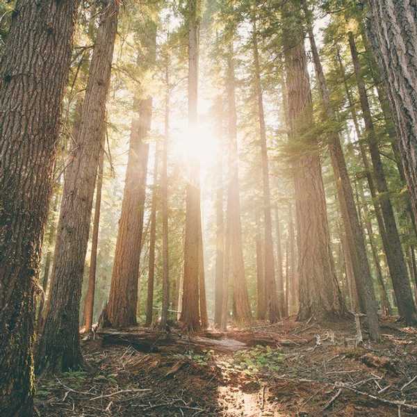 10 Things I've Missed About The State Of Oregon