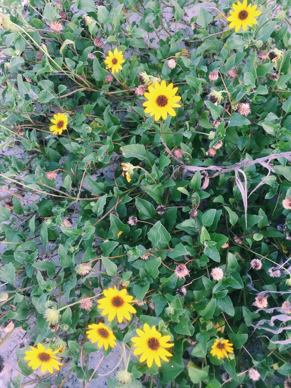 The Unforced Rhythms Of Grace.