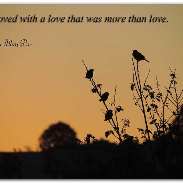 7 Things I've Learned From Loving