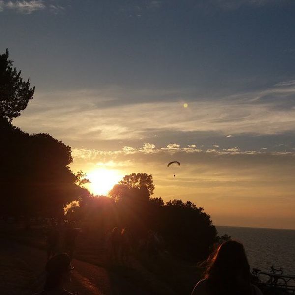 An Open Letter To Summer '16