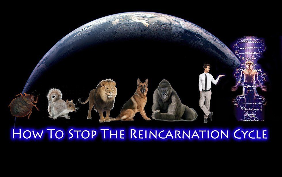 Reincarnation: A Christian Critique