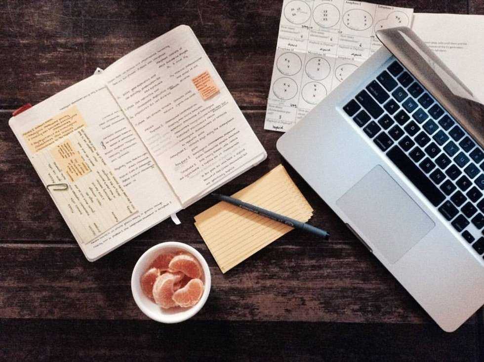 How To Stay Organized As Told By NYU Students