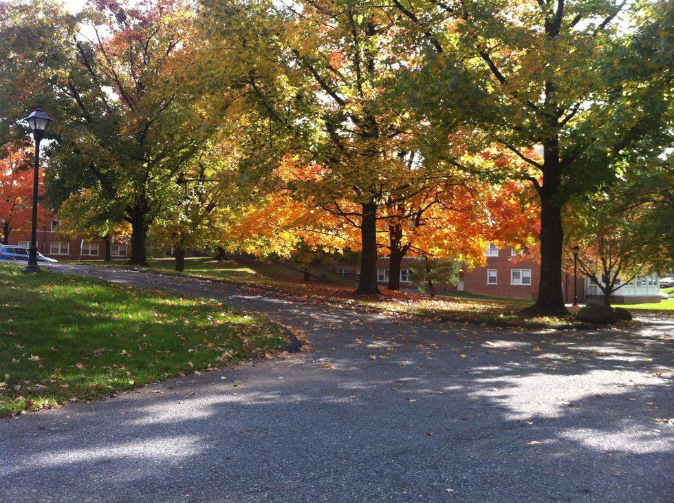 Why I Dropped Out Of College Twice And Why That's OK