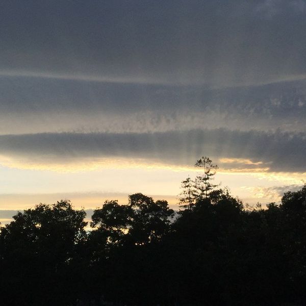 A Beginners Guide To Partying